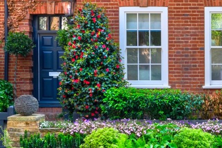 Commercial purchase in Basingstoke