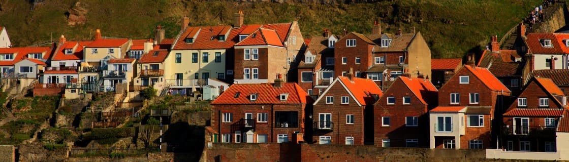 Helping foreign national buyers and generate income
