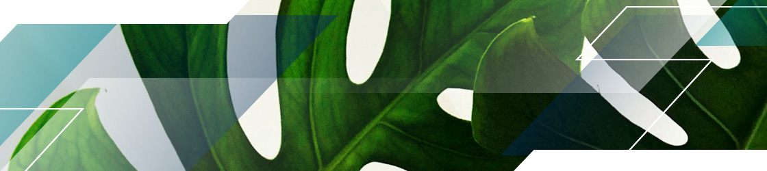 new green home grant 2025