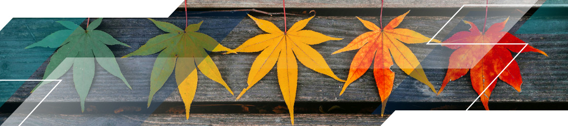 best-time-to-buy-property